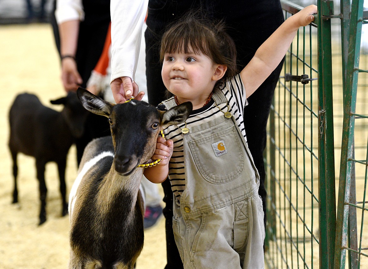 Rakayla Shaw, 2, shows a goat.