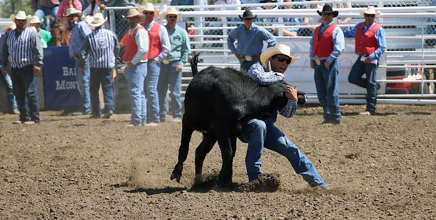 LOCAL RODEO star Tyler Houle showcases his ability to steer wrestle in a recent rodeo contest. Houle will be going to Laramie Community College in Cheyenne, Wyo., on a rodeo scholarship in the fall of 2017. (photo courtesy of Tyler Houle)