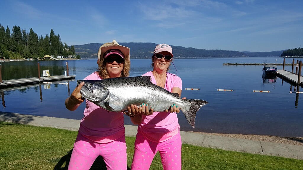 No boom or bust in Lake CdA's chinook