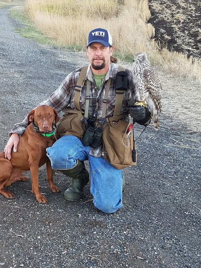 Courtesy photo
Palouse bird dog trainer John Sykes, also an avid falconer, annually trains dozens of retrievers, pointers and flushers at his Palouse River Kennels.
