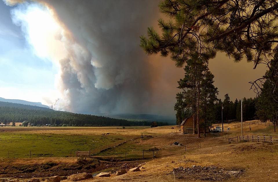 Dozens of structures lost in Caribou Fire | Hagadone News Network