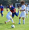 Cats split to open the season