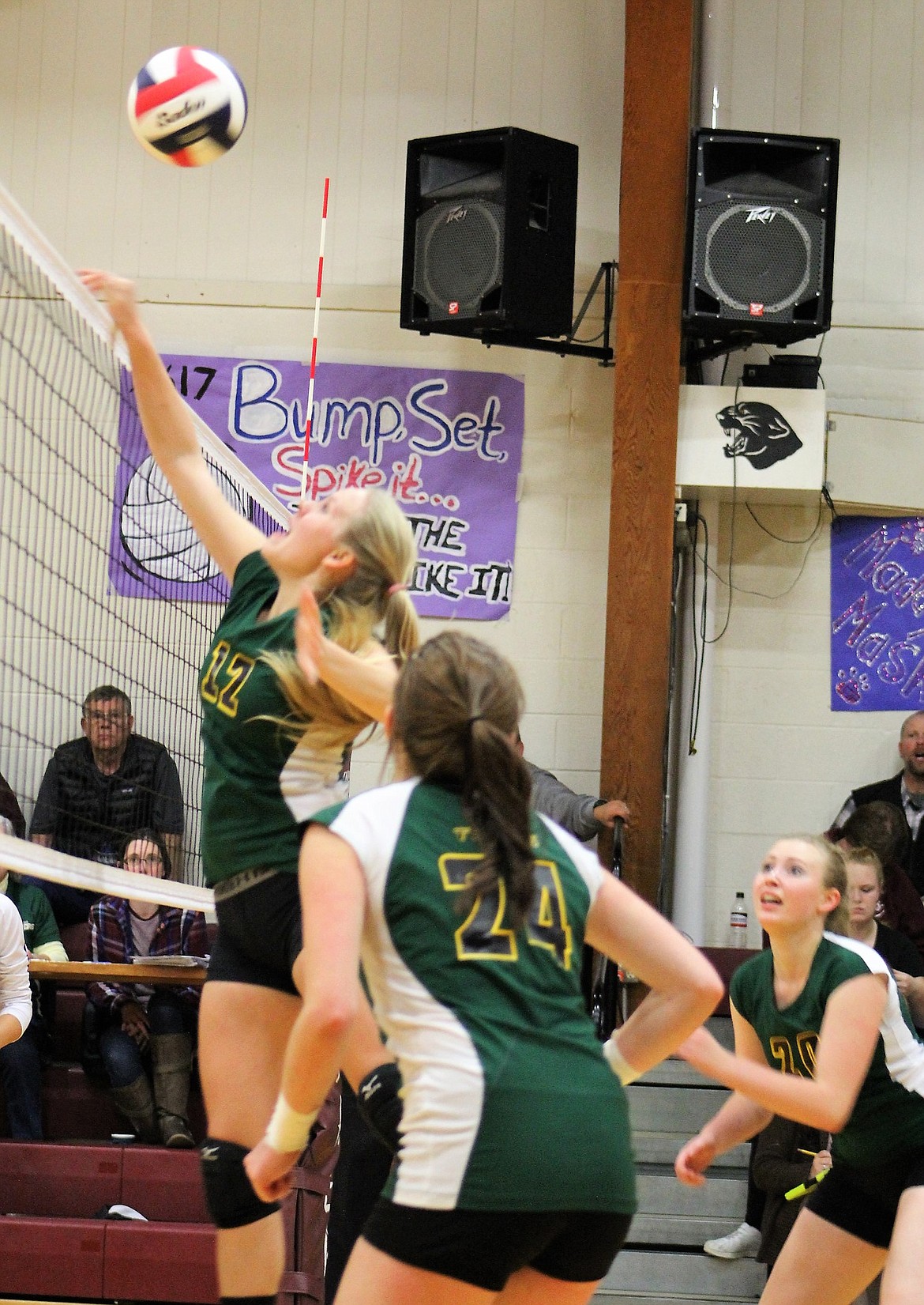 Volleyball season started last week with some wins and losses for both the Clark Fork Mountain Cats and the St. Regis Tigers. (File Photo)