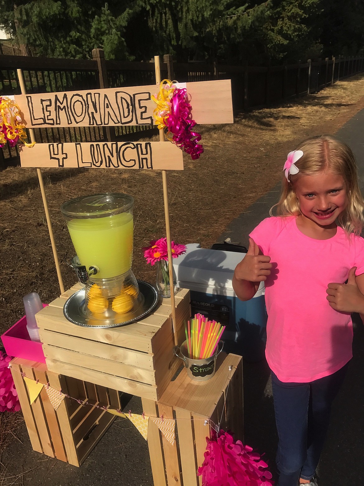 Amiah Van Hill, 6, poses next to her lemonade stand, where business is good.

Courtesy photo