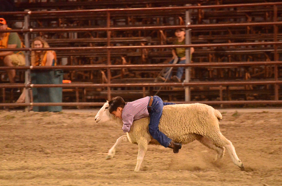 The Sanders County Fair saw some great mutton bustin&#146; rides from local kids on Thursday night. (Erin Jusseaume/ Clark Fork Valley Press)