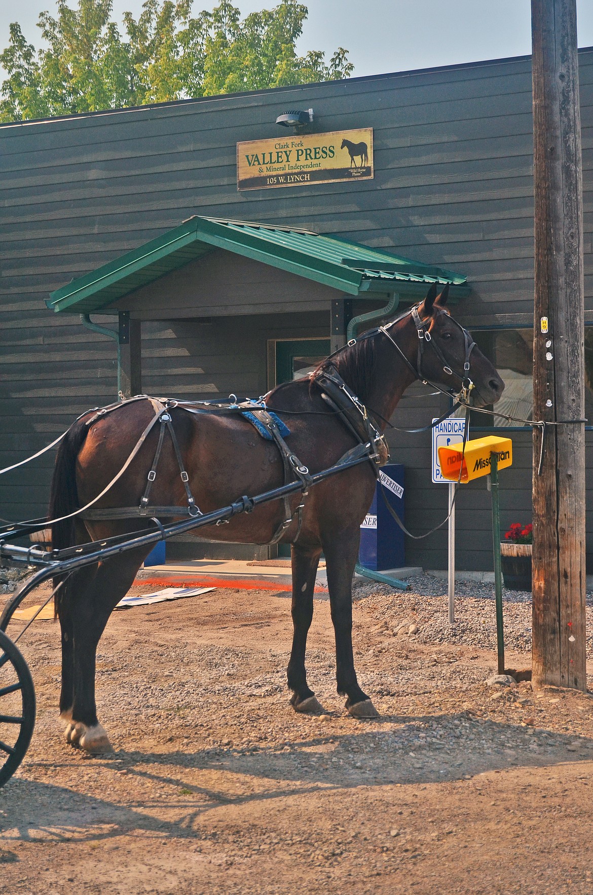 Buddy the buggy horse waiting for the next edition of Valley Press. (Erin Jusseaume/ Clark Fork Valley Press)