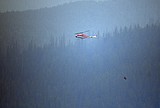 Sprague Fire doesn't make big run to Apgar, West Glacier