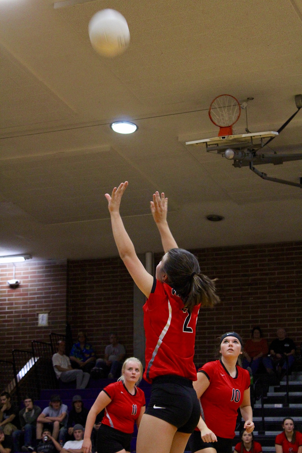 (From left) Wallace seniors Kayla Bayer and Jen Hayman watch as junior Hannah Garitone sets the ball.