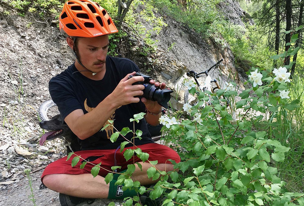 Danner Pickering stops along the Whitefish Trail to photograph a wildflower.