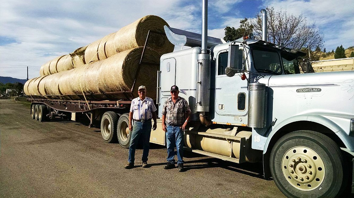 Glen and Tom are strapped down 30 tons of local hay ready to help ranchers in need on the Eastern side of the state. (Lisa Larson/ Clark Fork Valley Press)