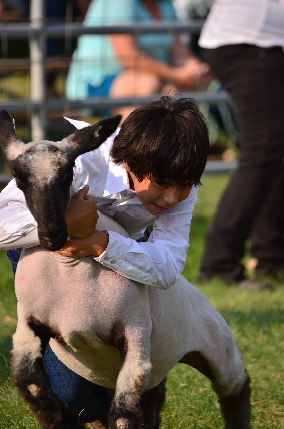 Jacob Hutchins is determined to not let his lamb get the better of him. (Erin Jusseaume/ Clark Fork Valley Press)