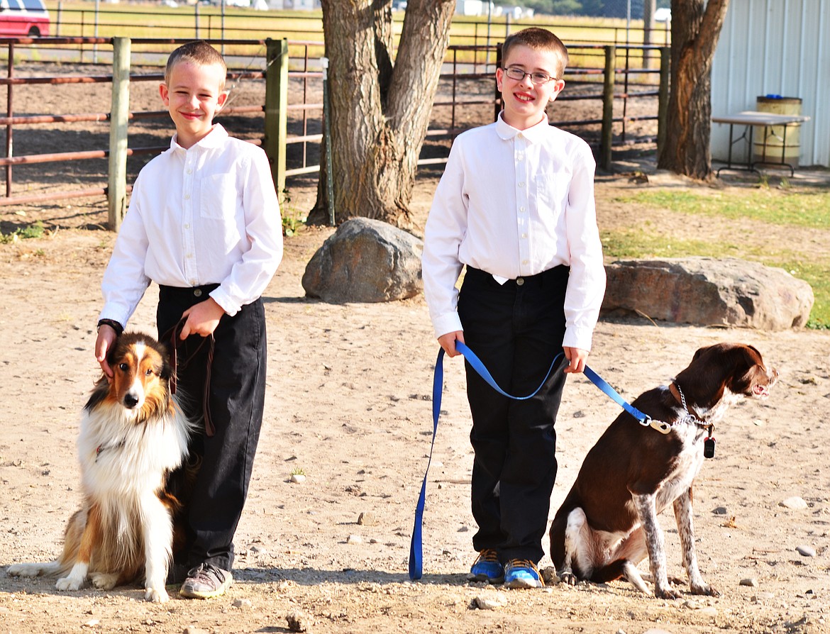 Whitepine Happy Workers Zachery and Caleb Bonine get their pooches ready for the show. (Erin Jusseaume/ Clark Fork Valley Press)