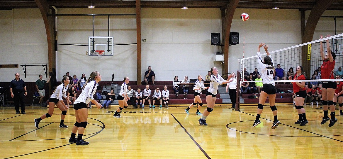The Clark Fork Mountain Lady Cats are undefeated so far this season with a 4-0 overall standing in volleyball. (Kathleen Woodford/Mineral Independent)