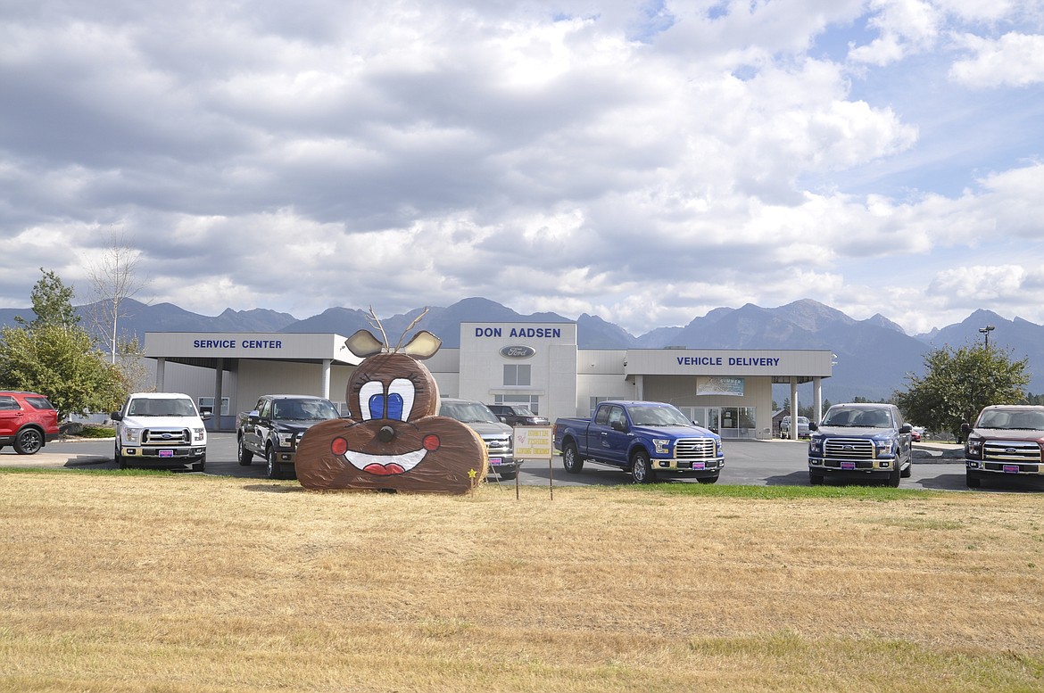 Don Aadsen Ford Dealership on Ronan has a deer on display for Harvest Fest. (Photo courtesy of Chris Kelly)