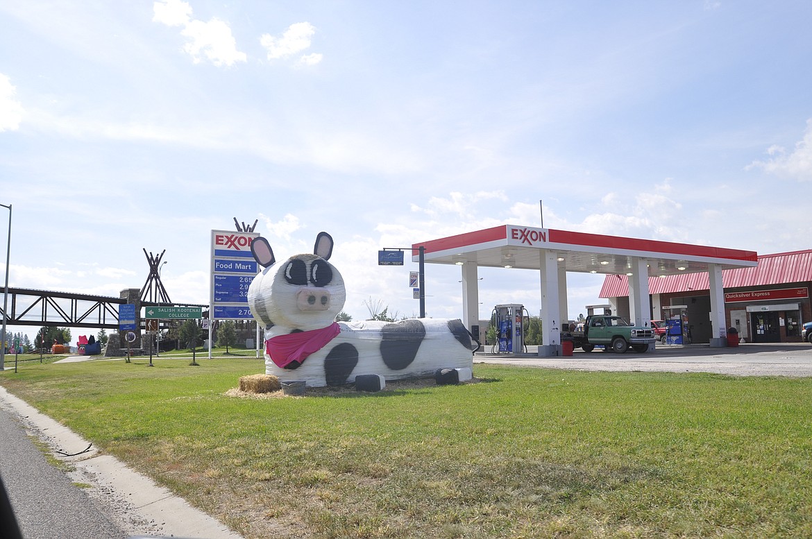 A larger-than-life cow sits in front of Exxon in Pablo. (Photo courtesy Chris Kelly)