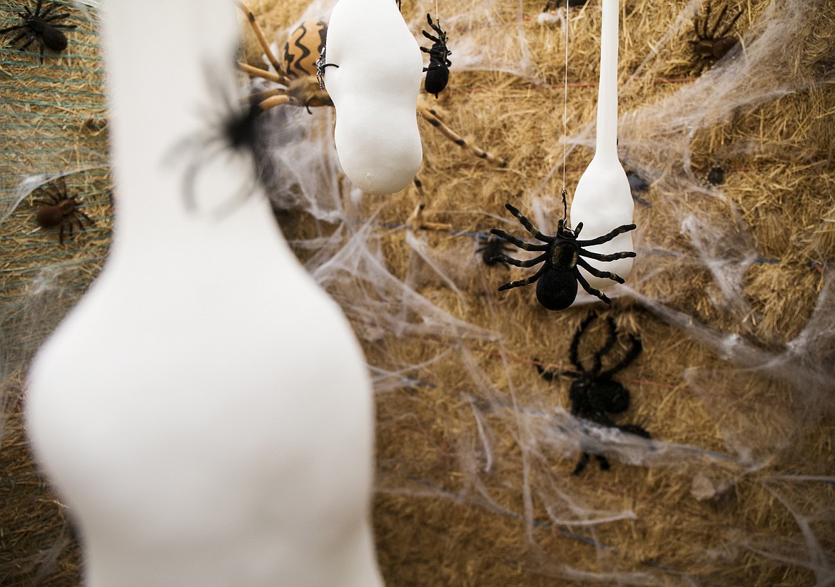 LOREN BENOIT/Press

Spiders dangle from above inside the Tunnel of Terror.