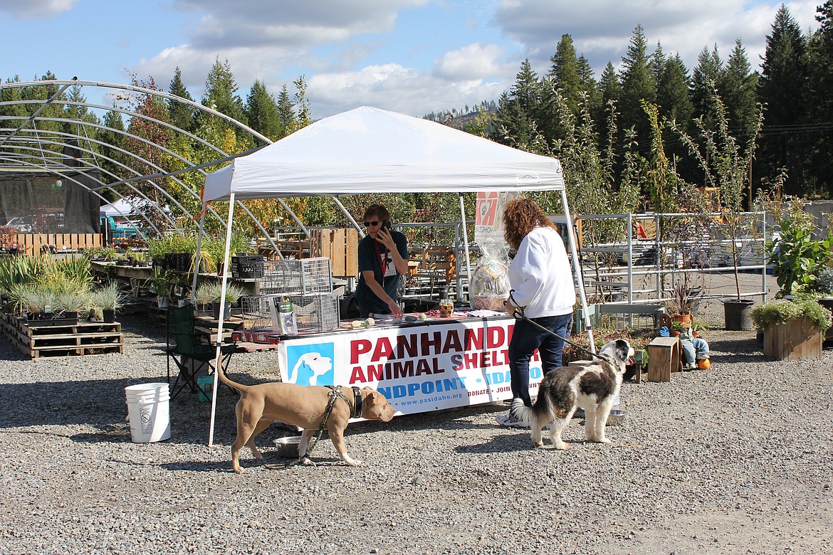 Photos by Tanna Yeoumans
Panhandle Animal Shelter made an appearance at the Moose Valley Farms dog event with encouragement for existing and future pet owners to &#145;adopt and not shop.&#146;