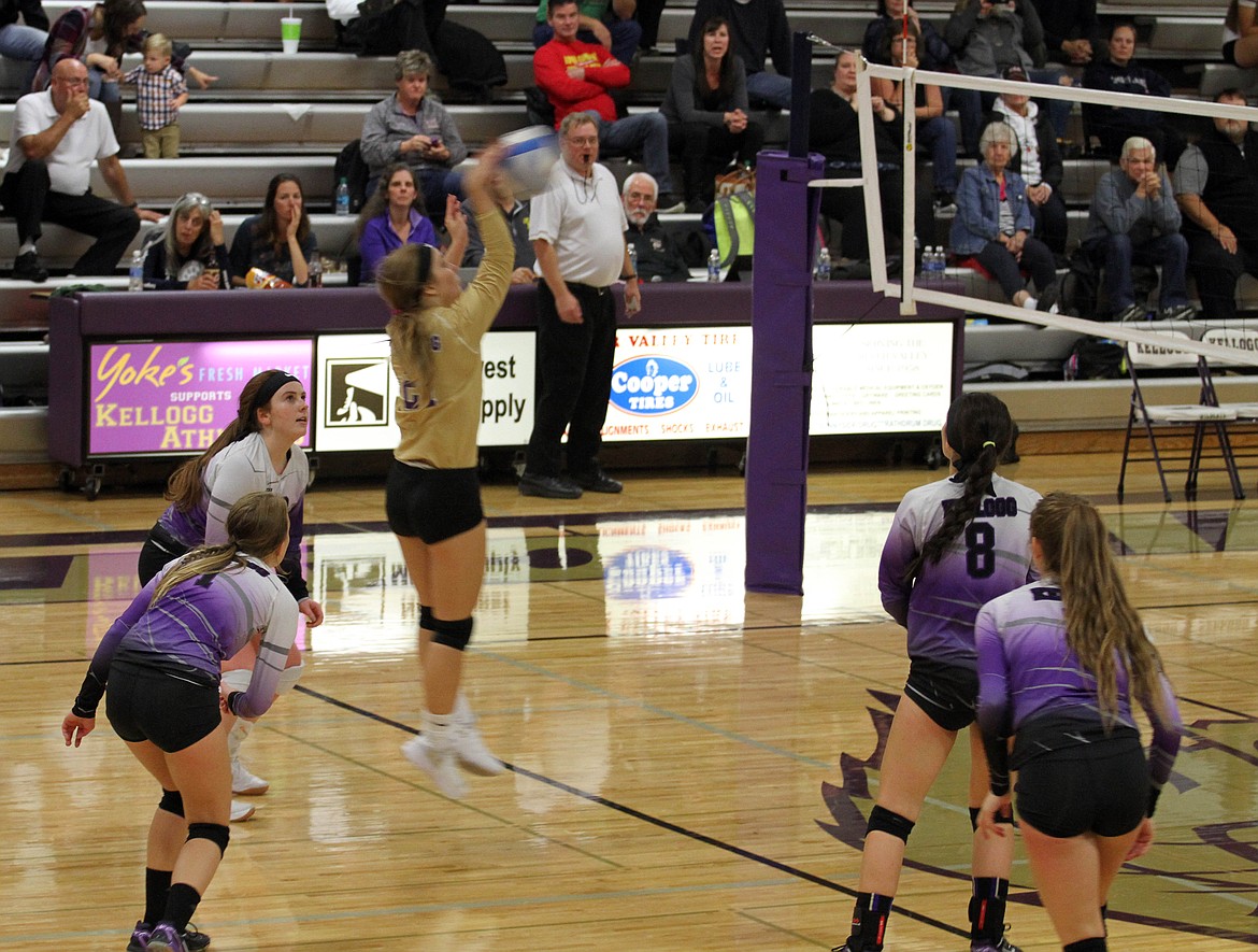 Photo by Josh McDonald/ 
Erin Van Hoose shows off her back row hitting skills during the Wildcats match with Timberlake.