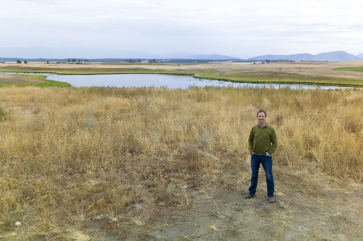 Paul Travis at the wetlands last week.