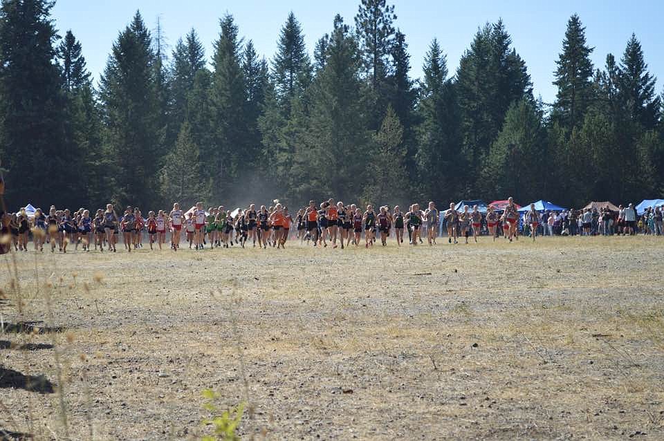 Photo by Rayan Naylor
The start of the girls varsity race after the gunshot.