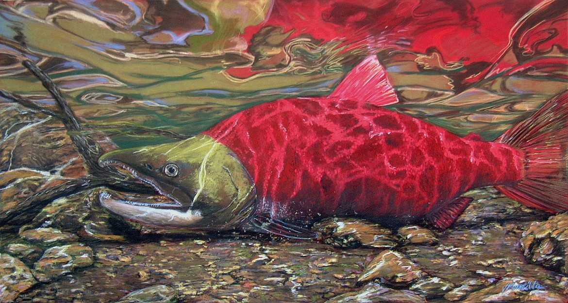 &#147;FINAL RUN&#148; PAINTING BY JOSE PORTILLO
Sockeye salmon