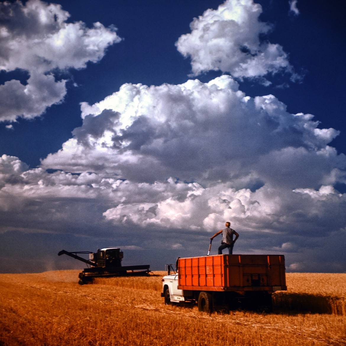 A PHOTO of a farmer by James Bakke.