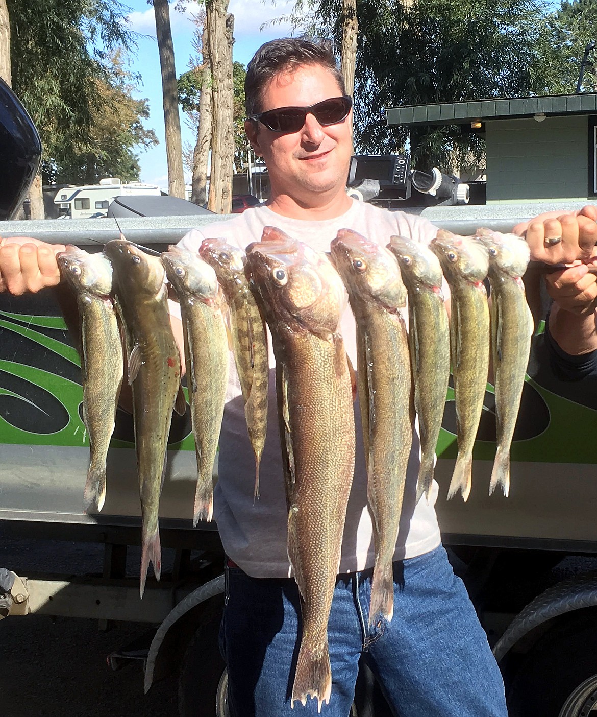 Pete Fisher photo - A nice limit of walleyes caught by a client of Ross Outdoor Adventures.