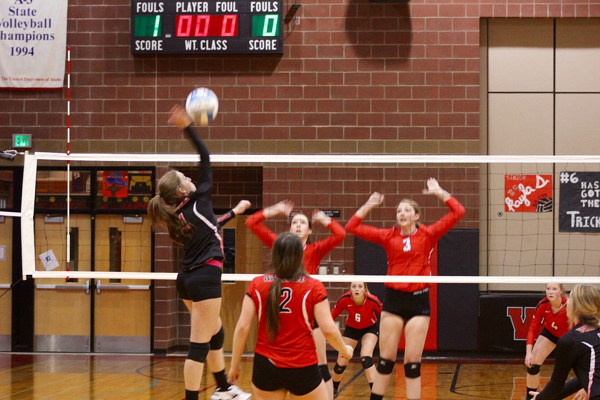 Catie Sheppard spikes the ball. Sheppard walked away with two digs and six kills in Wallace&#146;s game vs Kootenai.