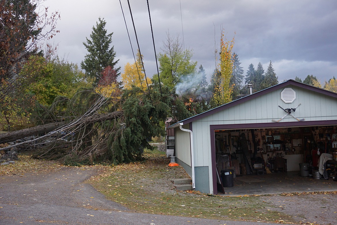 A tree catches fire after if fell on a power line near Dakota Avenue in Whitefish on Tuesday afternoon. A potent wind storm toppled trees and knocked out power across the region. (Danny McKay/Whitefish Pilot)