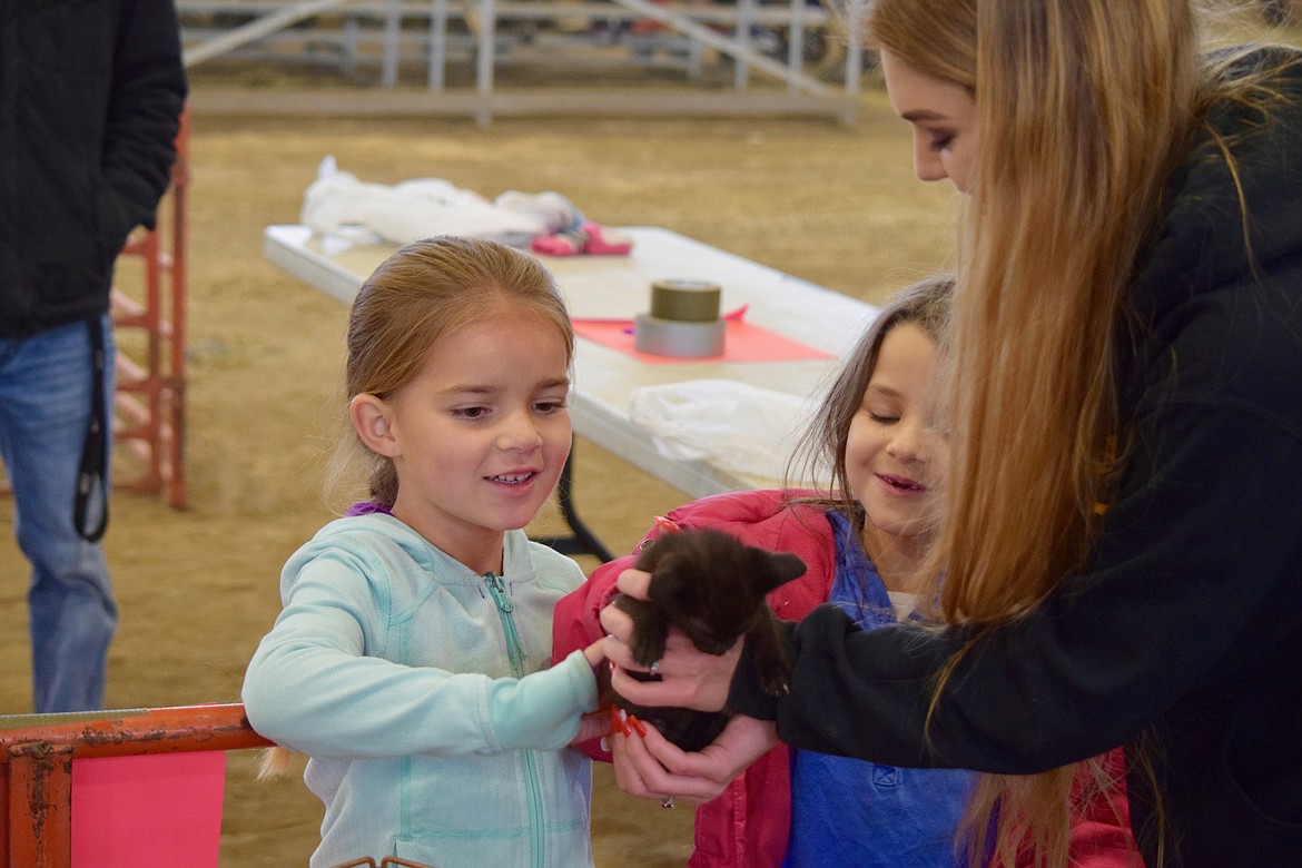 Charles H. Featherstone/Columbia Basin Herald
Felisha Roman shows a month-old kitten to two first-graders during Farm Day.