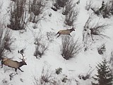 Weather watching for hunters, a cautionary tale