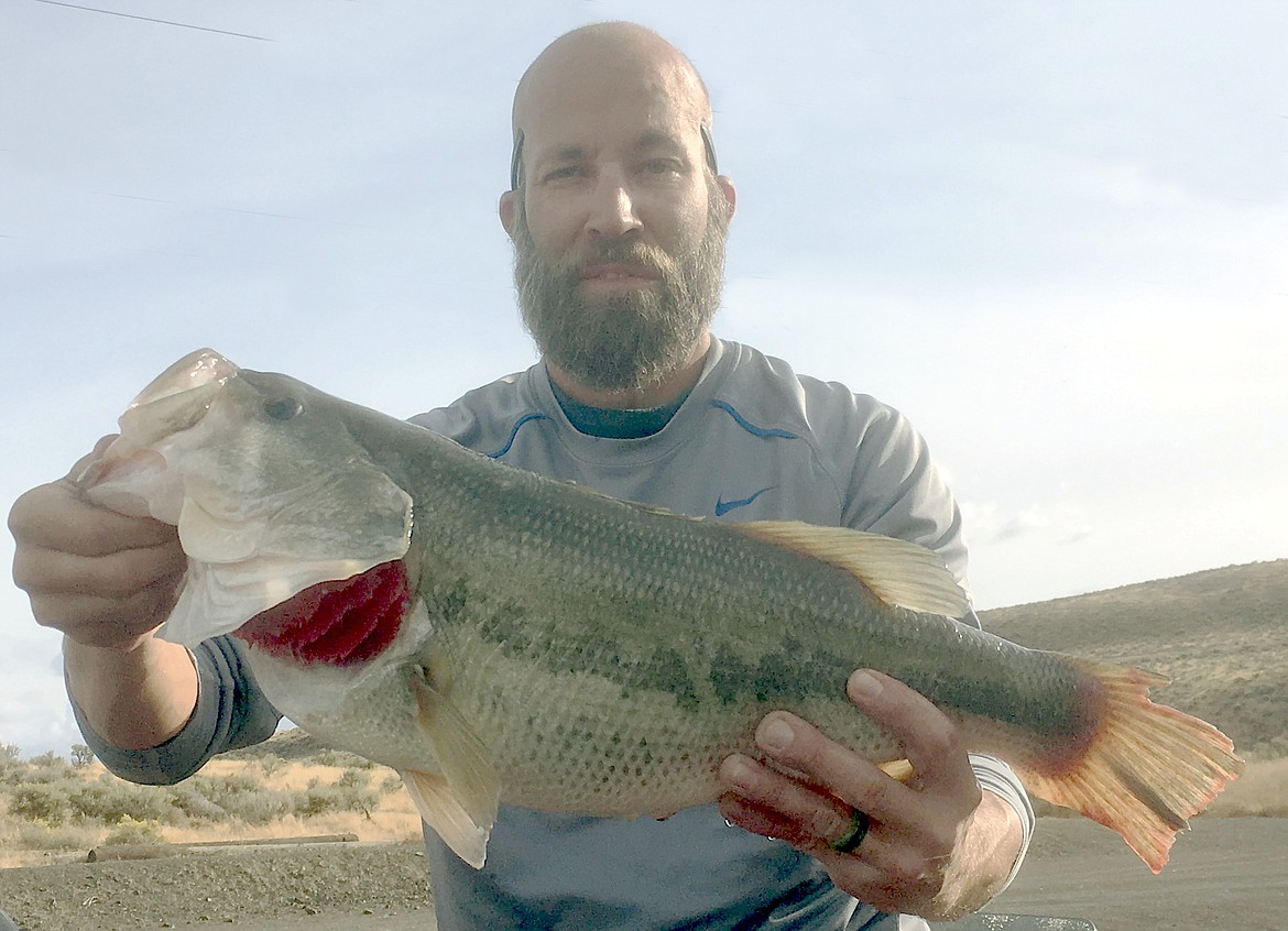 Pete Fisher photo - A 6.6 pound largemouth bass caught on the face of the dam.