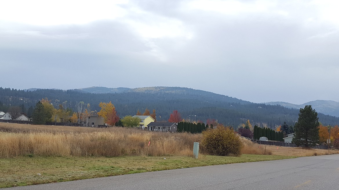 Photo by TYLER WILSON
&quot;Majestic&quot; mountain views seen in around Majestic View Estates in Post Falls.