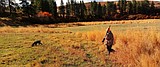 State has half million acres open to hunters, anglers