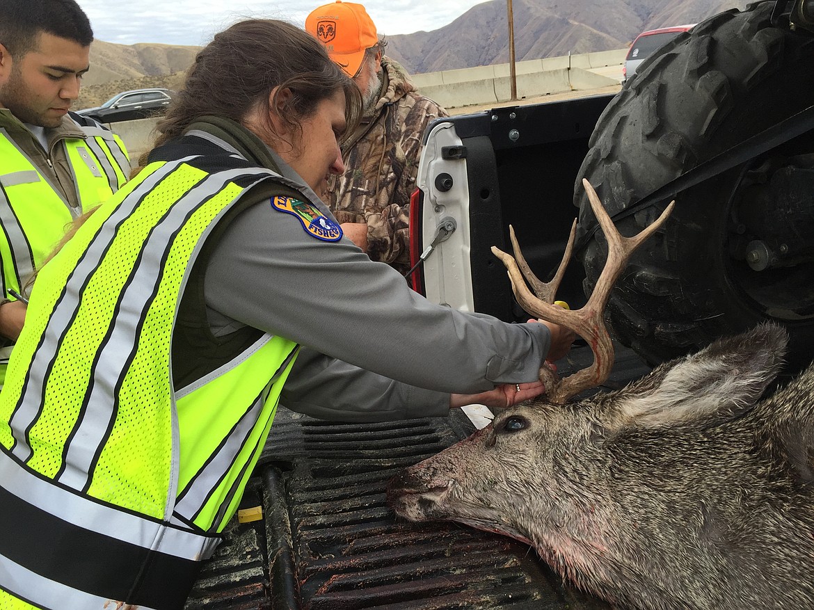 (Courtesy photo)
Idaho law requires all hunters to stop at Idaho Department of Fish and Game check stations regardless of whether they filled a tag.