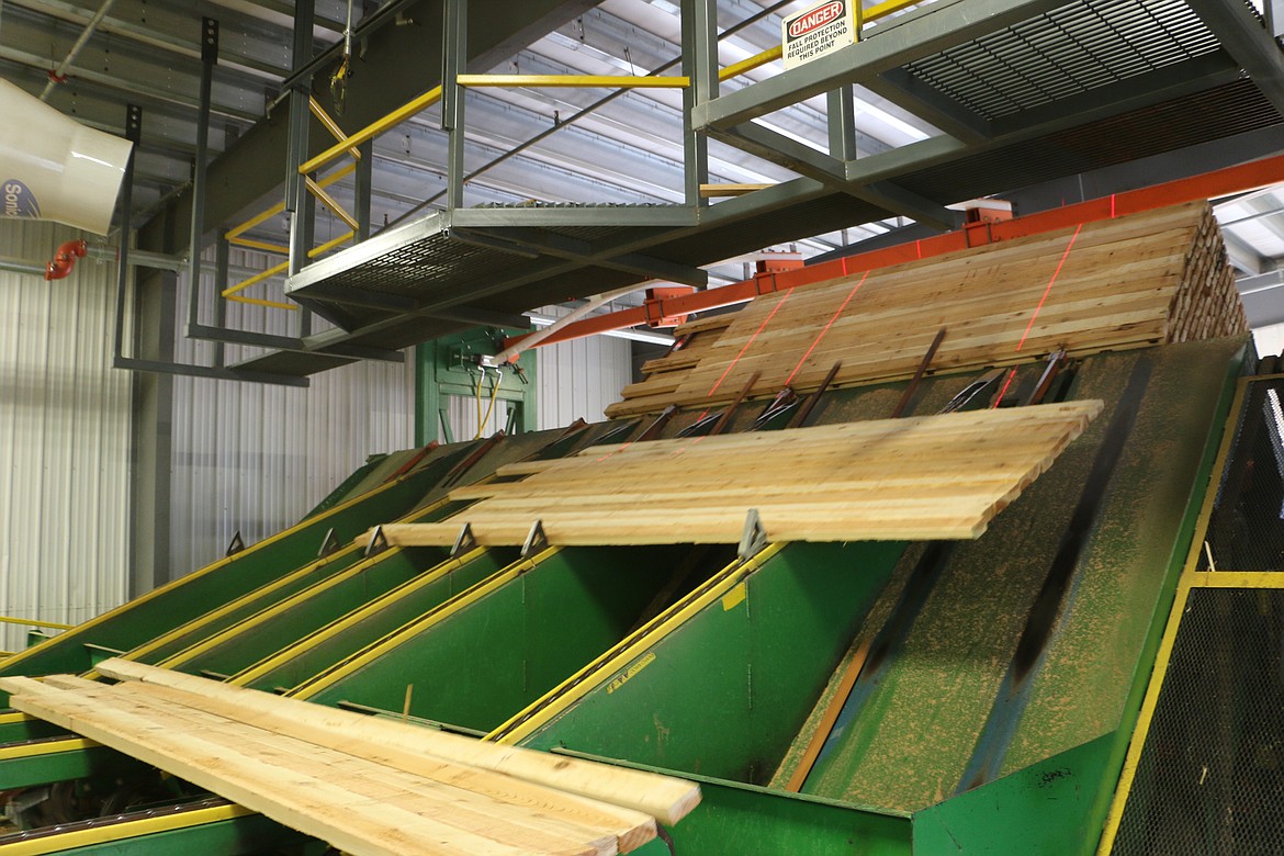 (Photo by MARY MALONE)
National Forest Products Week is celebrated the third week of October. This photo was taken at Idaho Forest Group's Laclede mill during the Sandpoint High School's Community Connections tour on Oct. 5.