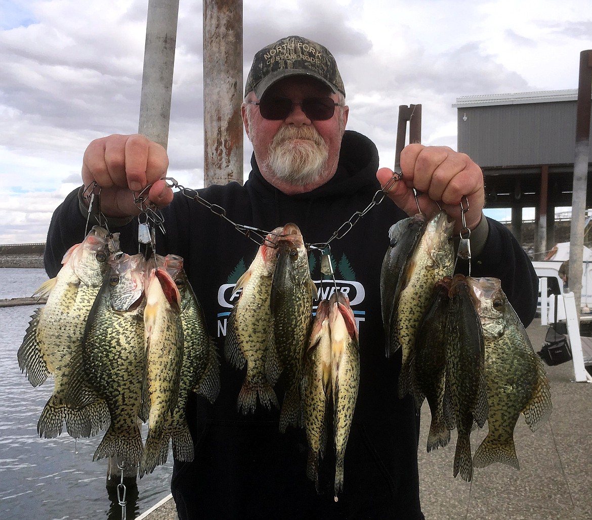 Pete Fisher photo - Orville Jutte of Tenino with a nice stringer of crappie off the MarDon dock.