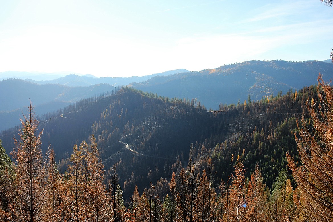 Tricon Timber in St. Regis also hosted a tour of the Sunrise Fire burn area and a tour of their mill on Oct. 19 as a part of Montana Forest Products week. (Kathleen Woodford/Mineral Independent).