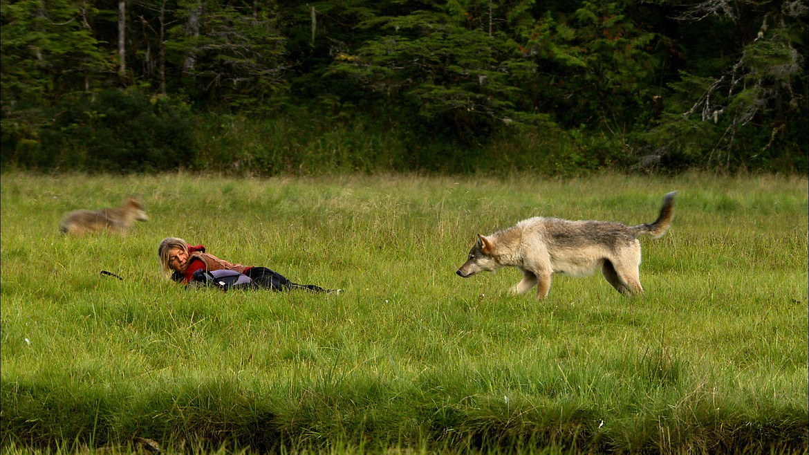 Gudrun Pflueger is surrounded by coast wolves in Canada. (Banff Mountain Films photo)