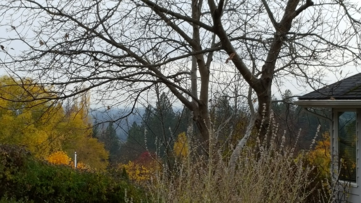 Photo by TYLER WILSON
A view into Dalton Gardens from a property in the Woodland Heights neighborhood of Coeur d'Alene.