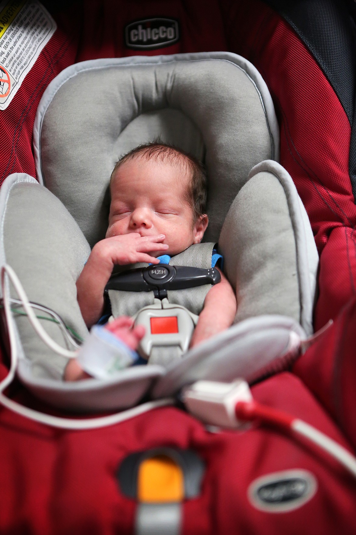 Judah Hall sleeps while he participates in a carseat test Wednesday morning in the NICU unit at Kalispell Regional Medical Center. Hall and his fraternal twin brother, Jedidiah, were born prematurely at 35 weeks and two days. (Mackenzie Reiss/Daily Inter Lake)