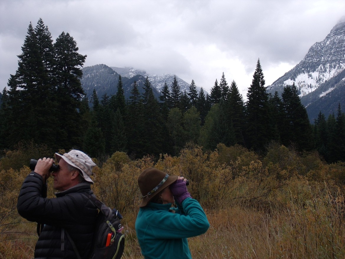 (Photo courtesy BRIAN BAXTER)
Bill Arnold and River Burdick look around for wetland wildlife during a recent Friends of Scotchman Peaks Wilderness hike.