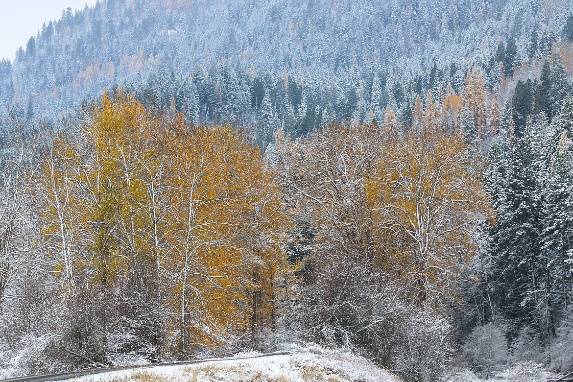 Photo by Mandi Bateman
The Tour Road is a wonderful way to enjoy fall in the Kootenai National Wildlife Refuge.