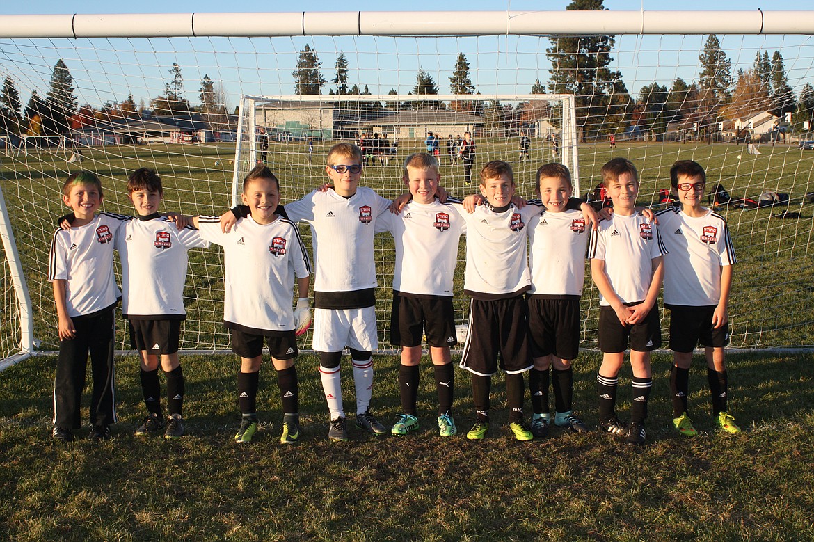 Courtesy photo
The Sting Timbers &#146;08 boys green soccer team went undefeated for the season. From left are Niko Lucky, Benjamin Mello, Joshua Rojo, Kai Bryan, Isaac Anderson, Parker Sterling, Drake Flowers, Rhett Snyder and Jaxon Fantozzi. Not pictured is coach Ryan Flowers.