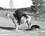 Dorothy Johnson