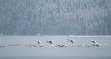 Glacier Park sees about 9 inches of snow down low from storms; upwards of three feet already in Jewel Basin