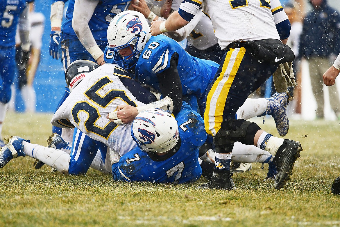 The Cats&#146; defense mauled Miles City&#146;s running game.