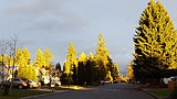 Keeping it simple and central in Post Falls