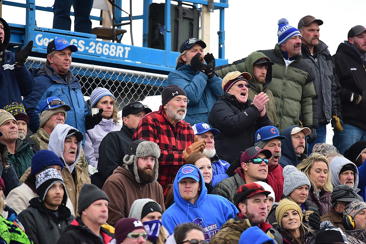 The crowd cheers on the Cats.