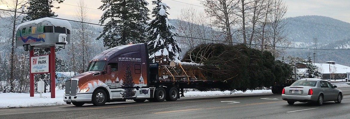 &quot;The People's Tree&quot; arrives in Libby Wednesday, where it will be housed at the Lincoln County Port Authority before beginning its roughly 3,000-mile, multi-stop journey to Washington, D.C. with stops in Eureka and Whitefish on Monday and Libby, Troy and Trout Creek on Tuesday. (John Blodgett/The Western News)